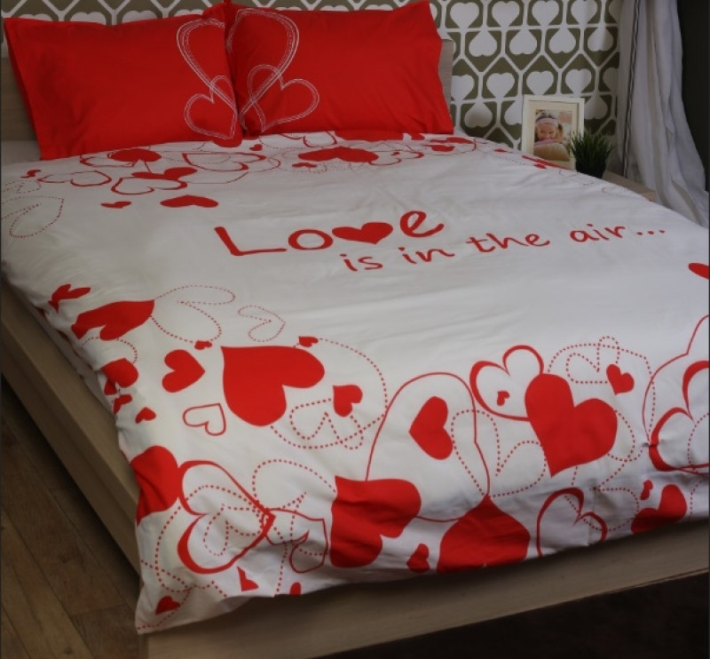 Lenjerie de pat pentru 1 persoana, din bumbac 100%, Armonia Textil - Olivia