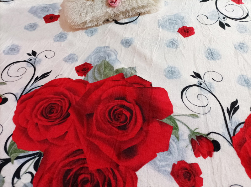 Patura cocolino pufoasa 200x230 cm, East Comfort - Roses